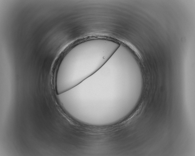 X0000113170878200909040932
