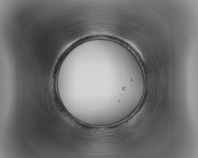 X0000113170879200909040932