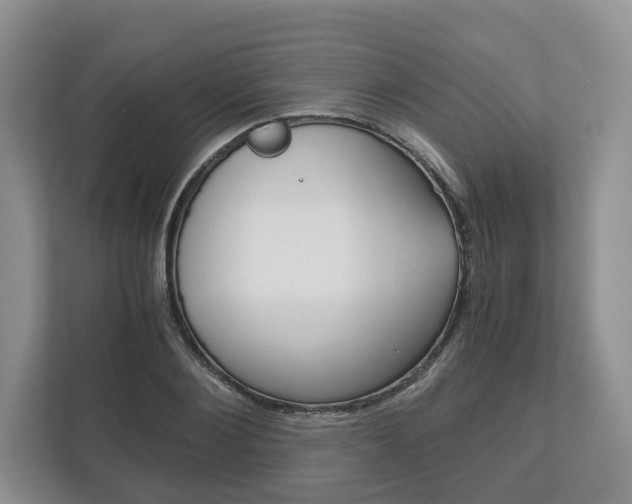 X0000113170884200909040932