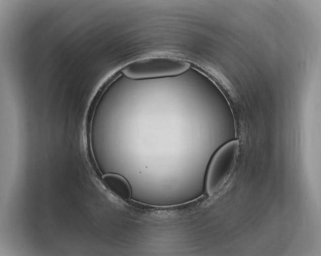 X0000113170888200909040932