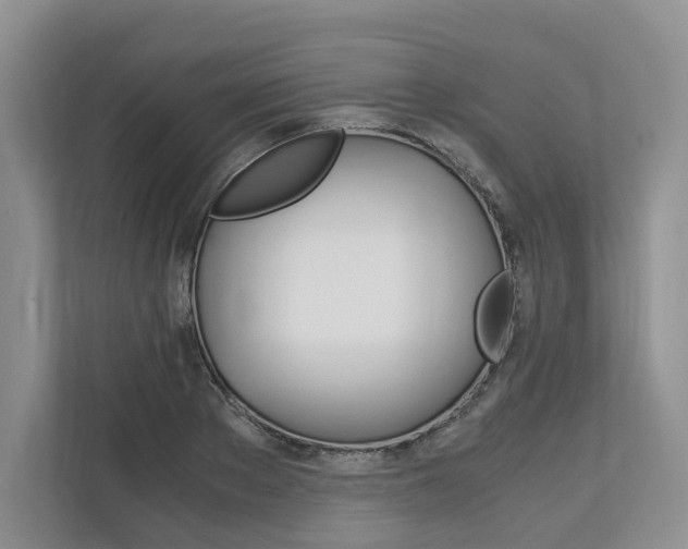 X0000113170889200909040932