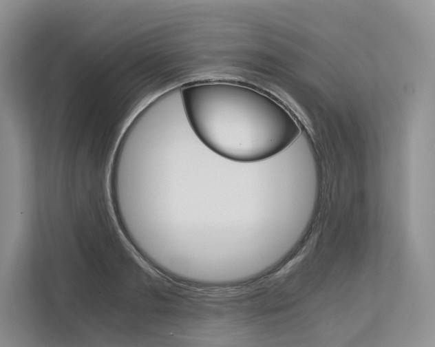 X0000113170893200909040932