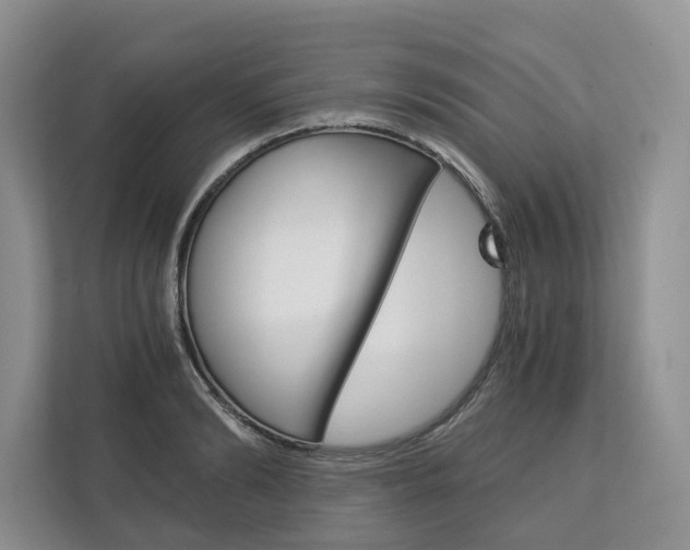 X0000113170894200909040932