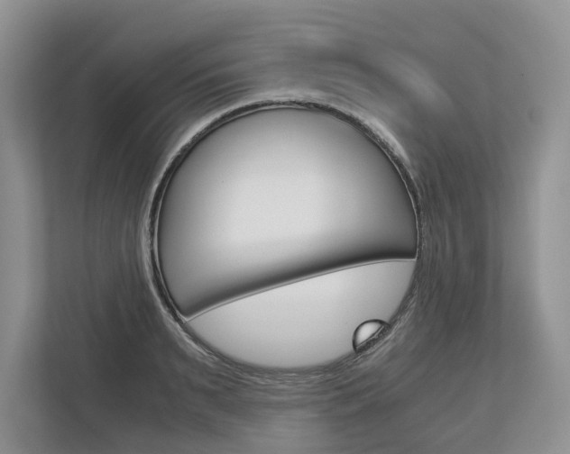 X0000113170895200909040931