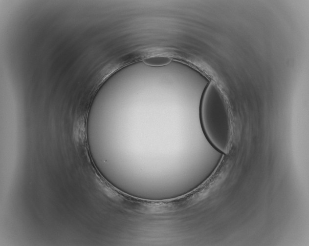 X0000113170897200909040931