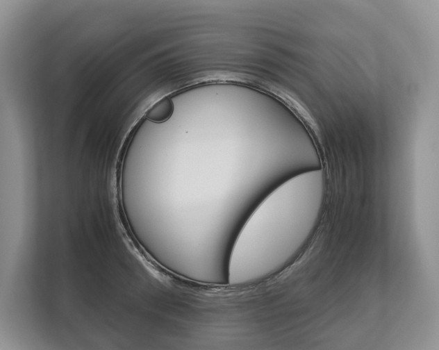 X0000113170898200909040931