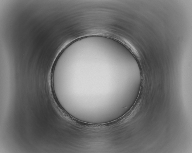 X0000113170899200909040931