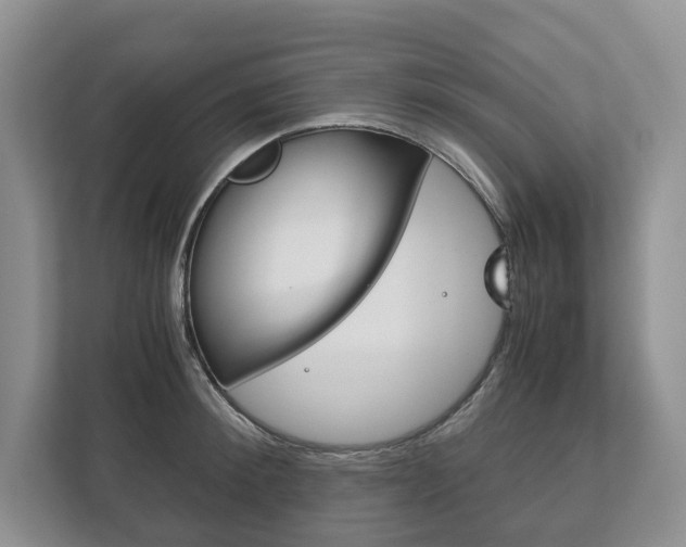 X0000113170900200909040931