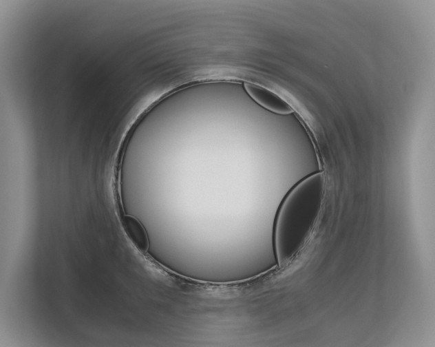 X0000113170901200909040931