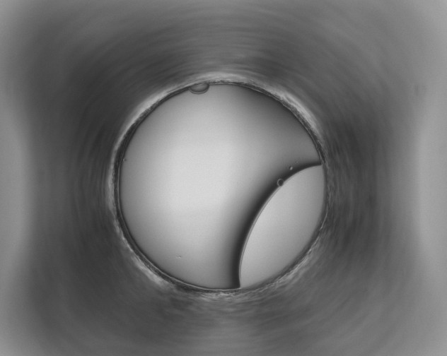 X0000113170902200909040931