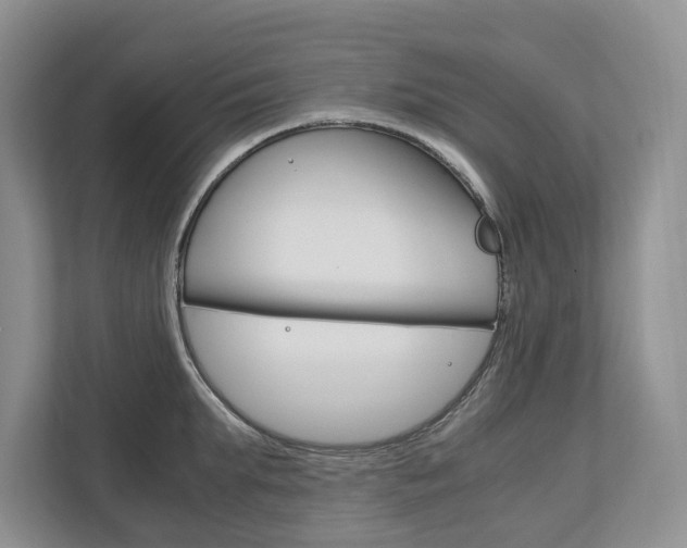 X0000113170903200909040931