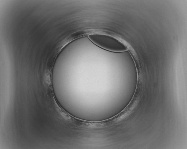 X0000113170905200909040931