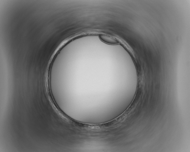 X0000113170911200909040931