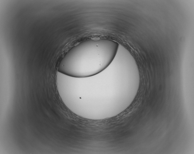X0000113170916200909040931