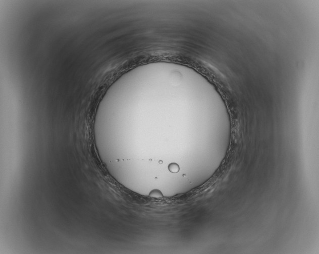 X0000113170917200909040931