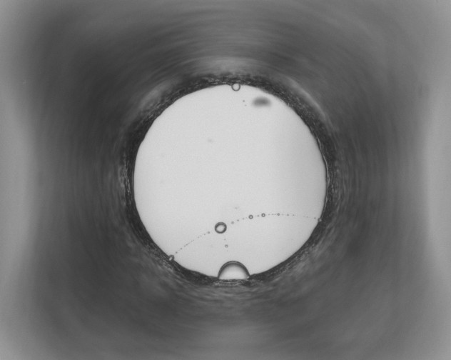 X0000113170918200909040931