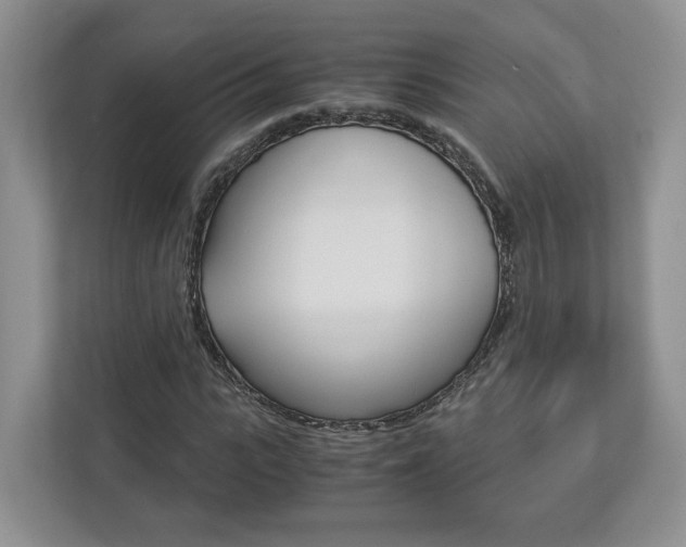 X0000113170919200909040931