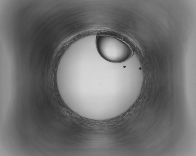 X0000113170920200909040931