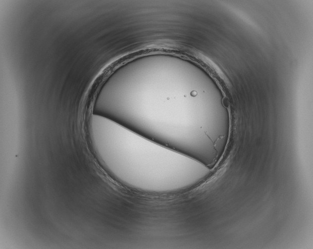 X0000113170923200909040931