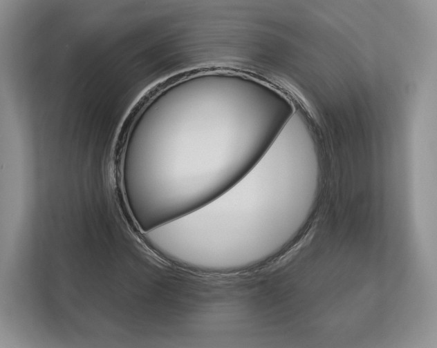 X0000113170924200909040931