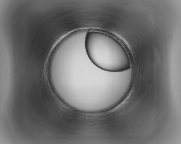 X0000113170925200909040931