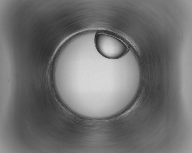 X0000113170926200909040931