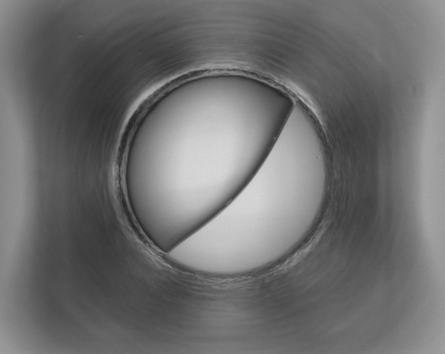 X0000113170928200909040931