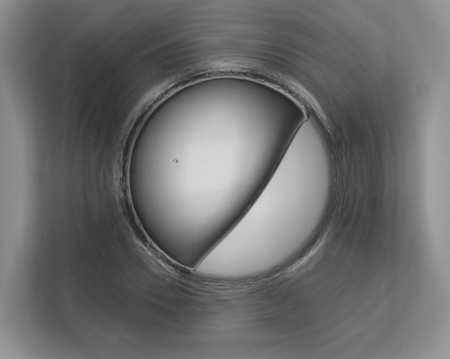X0000113170930200909040931