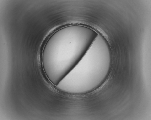 X0000113170934200909040931