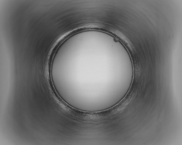 X0000113170935200909040931