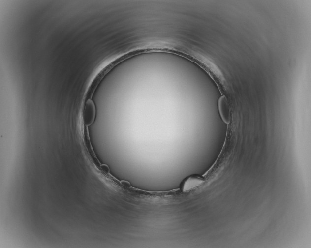 X0000113170936200909040931