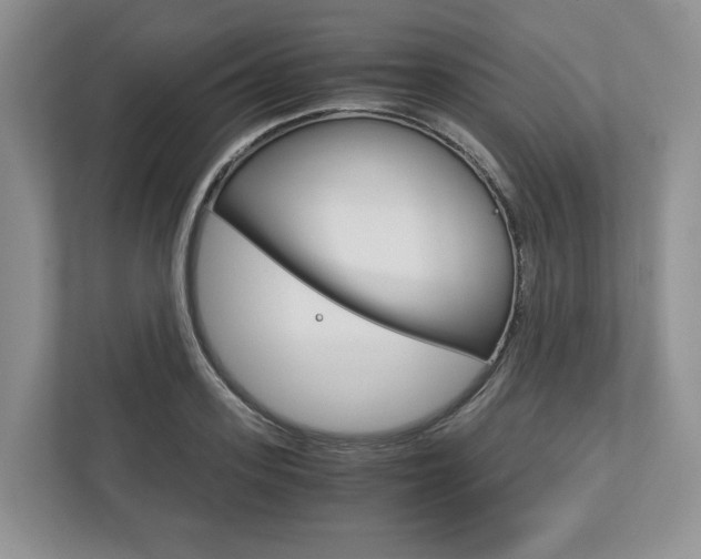 X0000113170939200909040931