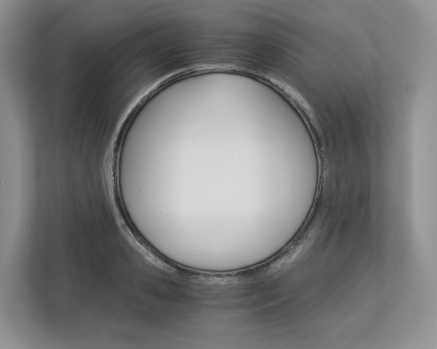 X0000113170941200909040931