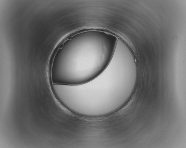X0000113170942200909040931