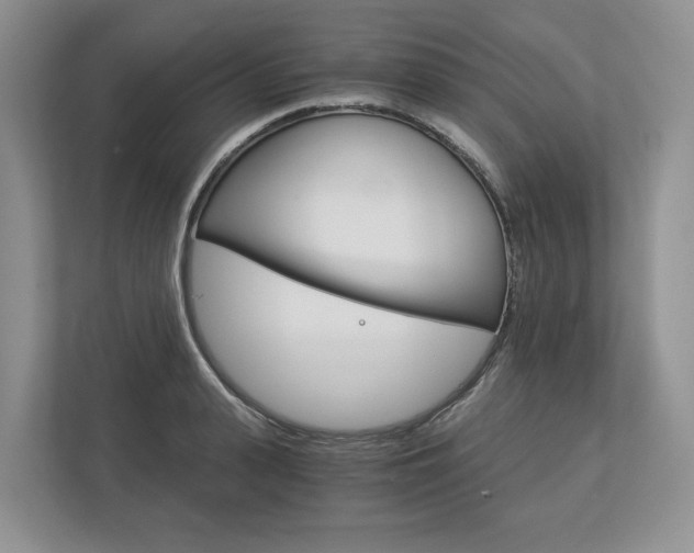 X0000113170943200909040931