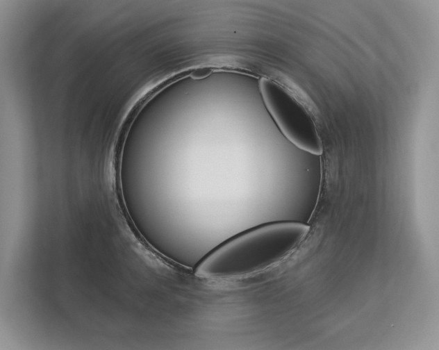 X0000113170944200909040931