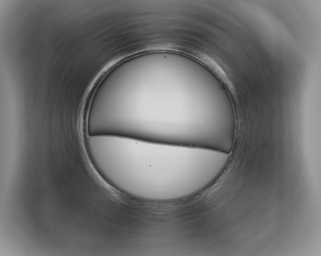 X0000113170947200909040931