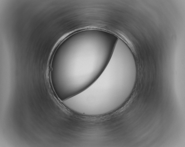X0000113170948200909040931