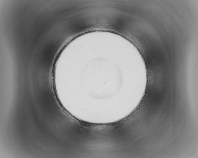 X0000113170950200909040931