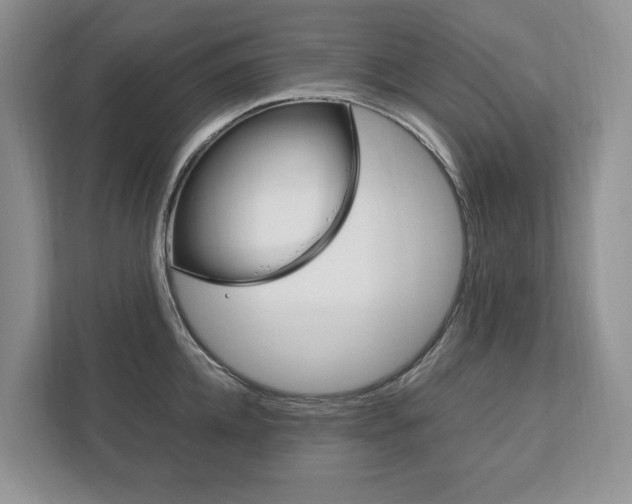 X0000113170952200909040931