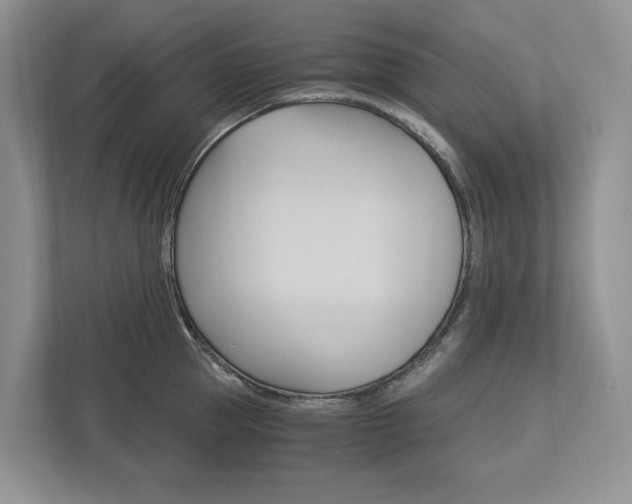 X0000113170953200909040931