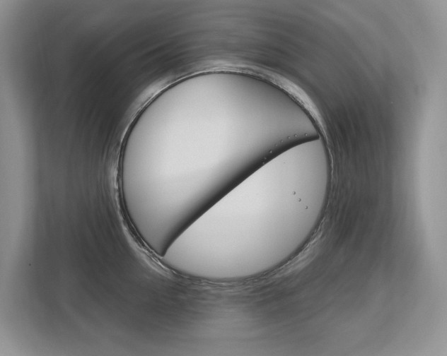 X0000113170954200909040931