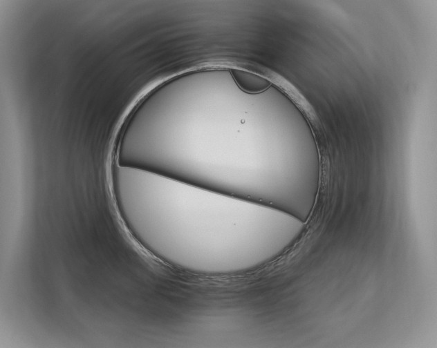 X0000113170955200909040931