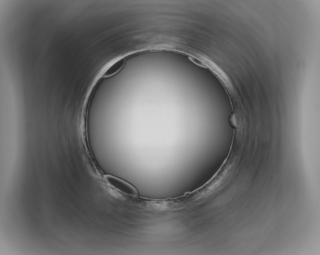 X0000113170956200909040931