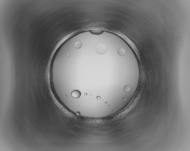 X0000113170957200909040931