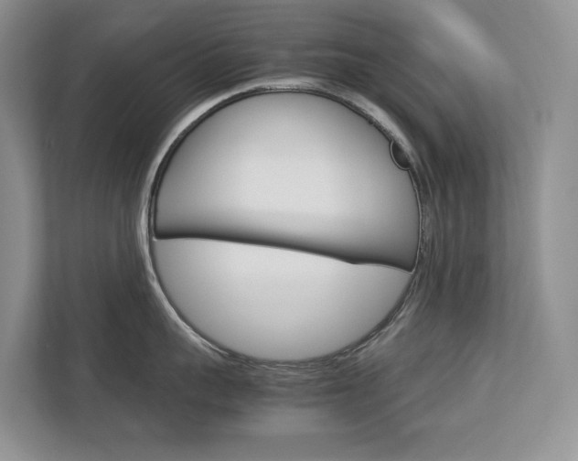 X0000113170959200909040931