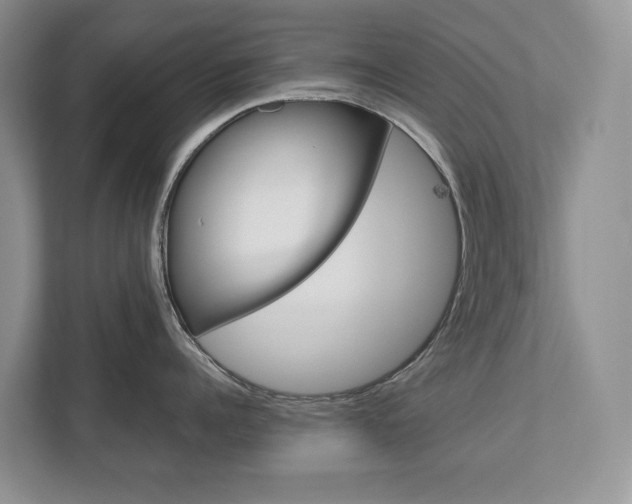 X0000113170960200909040931