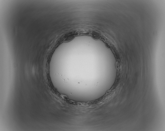 X0000113170961200909040931