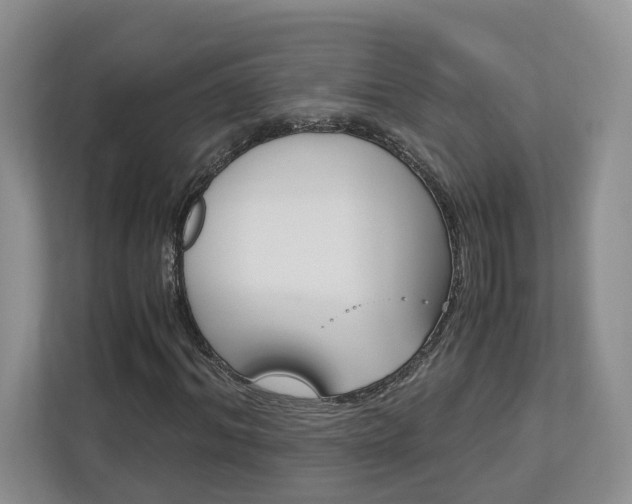 X0000113170964200909040931