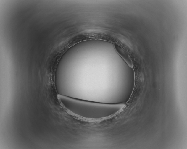 X0000113170965200909040931